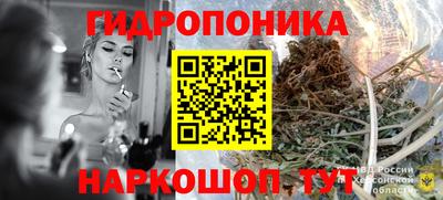 spice Гусиноозёрск