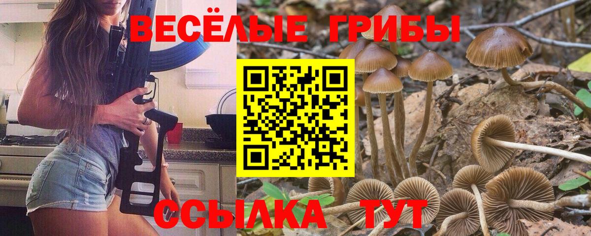 Нововоронеж  Галлюциногенные грибы MAGIC MUSHROOMS  Вход с VPN 