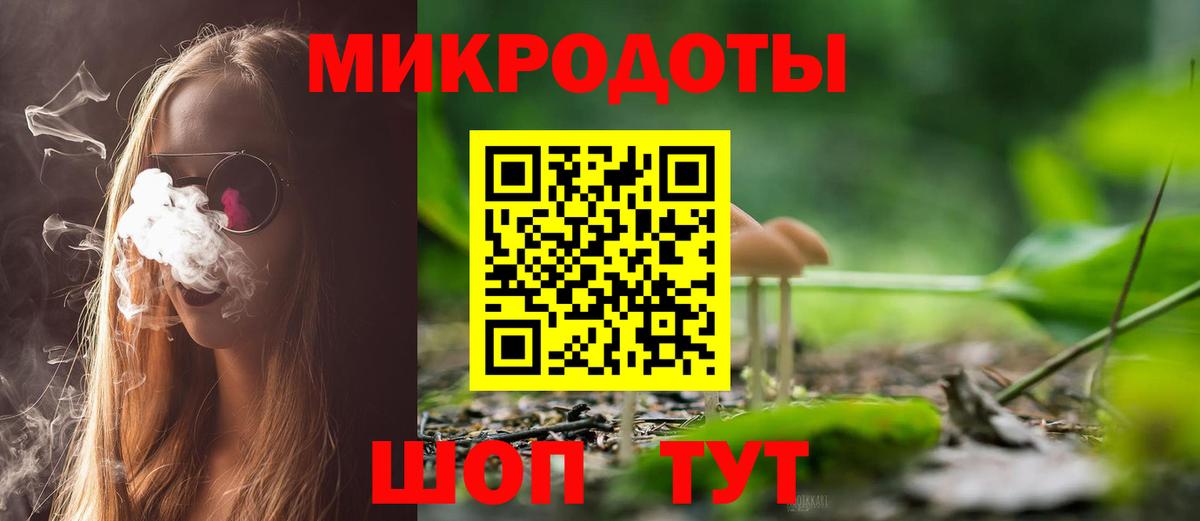 Галлюциногенные грибы Psilocybe Нововоронеж